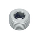 Socket Plug 3/8NPT Silver