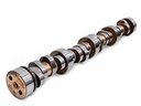 Cam Motion LS Nitrous Racing Hydraulic Roller 262/282