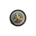 LS Aluminum Water Pump Adapter Kitto -20AN Inlet & Outlet w/ 160°FThermostat