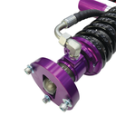 Royal Shock Absorber Kit for GMC 2019