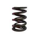 Ferrea Dual Valve Spring Kit TB48