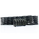 PP Valve Spring 1FZ, Set of 24
