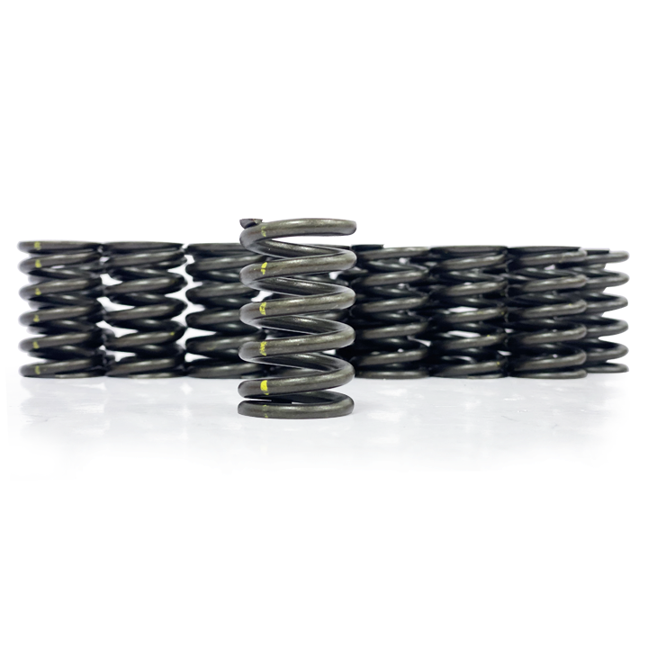 PP Valve Spring 1FZ, Set of 24