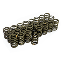 Brian Crower Valve Spring 2JZ, Set of 24