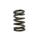 Brian Crower Valve Spring 2JZ, Set of 24