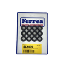 Ferrea Dual Valve Spring Kit TB48