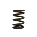Ferrea Single Valve Spring Kit TB48