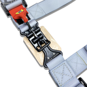 2" 4pt Seatbelt Forged Latch & Link UTV, Silver