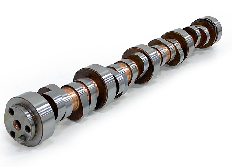 Cam Motion LS Nitrous Racing Hydraulic Roller 262/282