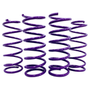 Spring Set for Nissan Y61
