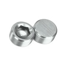 Socket Plug 1/4NPT Silver