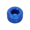 Socket Plug 3/8NPT Blue
