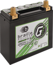 BRAILLE Green-Lite Battery G20 12V (NO WARRANTY)