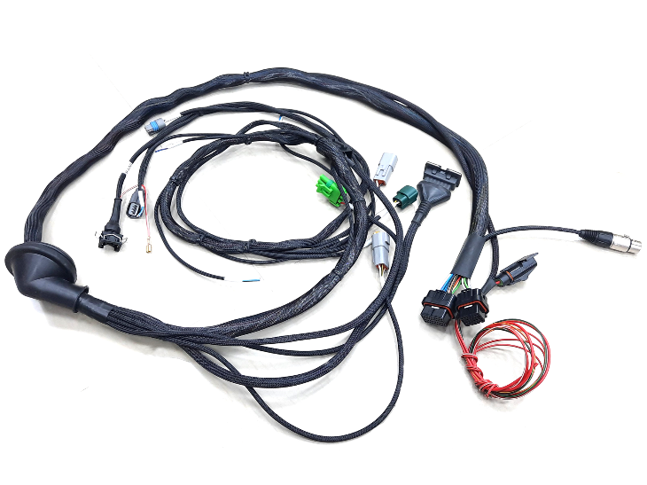 EMG Loom TB48 3 Channel