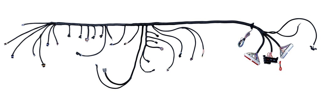 MH Wire Harness Gen III 97-06 LS1 EV1 Red/Blue