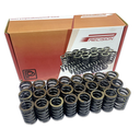 PP Valve Spring 1FZ, Set of 24