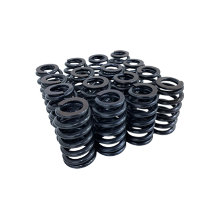 [PH0029] Valve Spring Kit for LS Engines - .600" Lift Rated