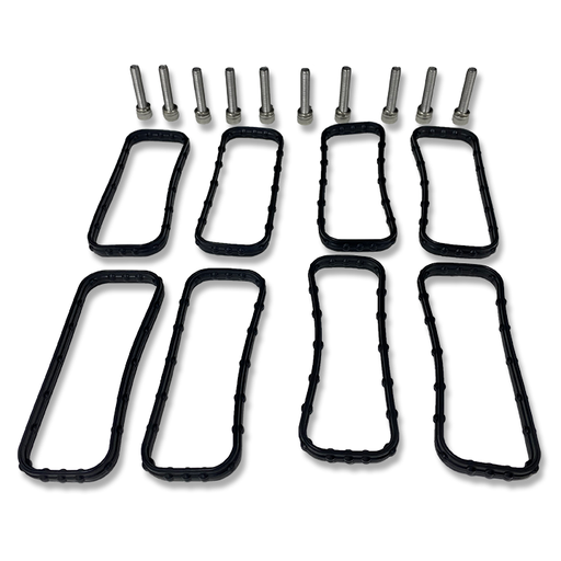 [81701] 81001/81002 Replacement Gaskets and Mounting Bolts