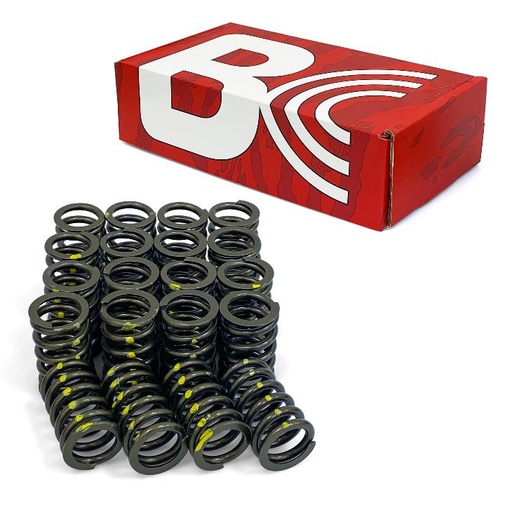 [BC1250] BC Valve Spring TB48, Set of 24