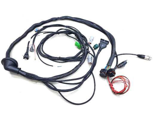 [EM-LM001] EMG Loom TB48 3 Channel
