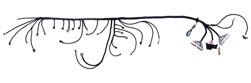 [4L60E] MH Wire Harness Gen III 97-06 LS1 EV1 Red/Blue