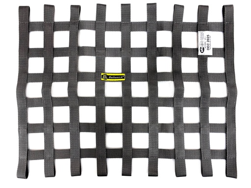 [WN-10] SFI Ribbon Window Net, Size: 18" x 23" Silver