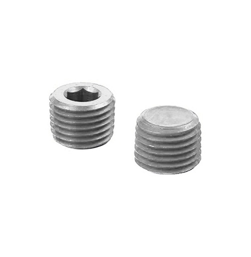 [LIKAD61002] Socket Plug 1/8NPT Silver