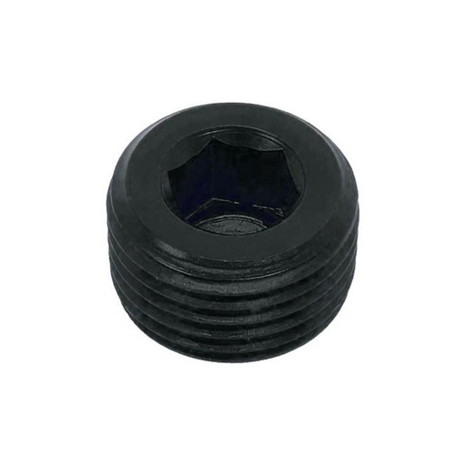 [LIKAD61004] Socket Plug 3/8NPT Black