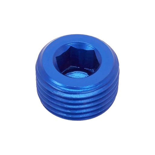[LIKAD61004] Socket Plug 3/8NPT Blue