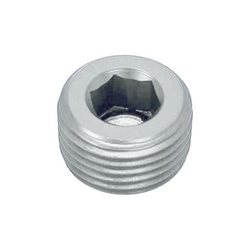[LIKAD61004] Socket Plug 3/8NPT Silver